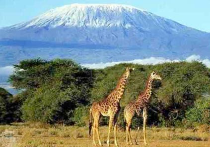 Kilimanjaro